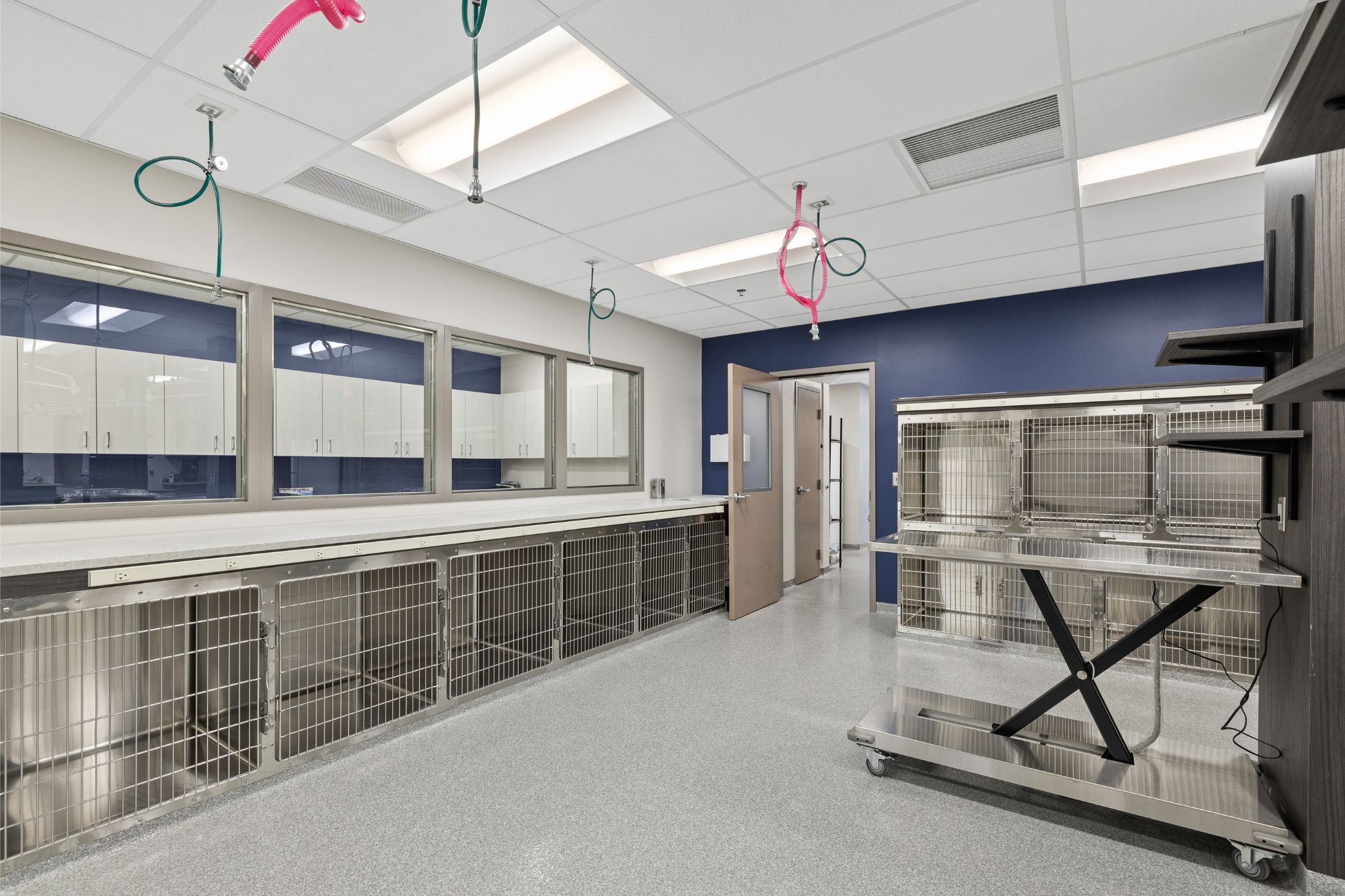 Animal Clinic of Rapid City Kennel Area