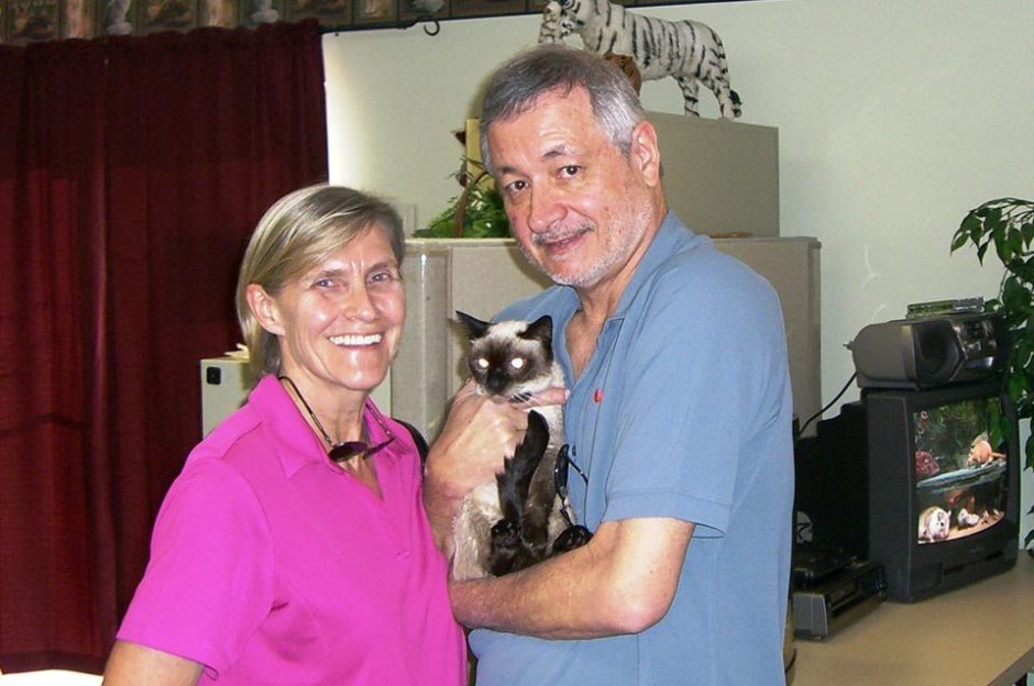 our patient callie the cat