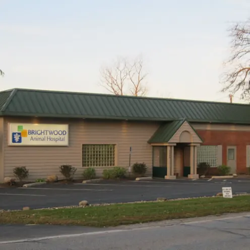 Brightwood Animal Hospital Exterior 