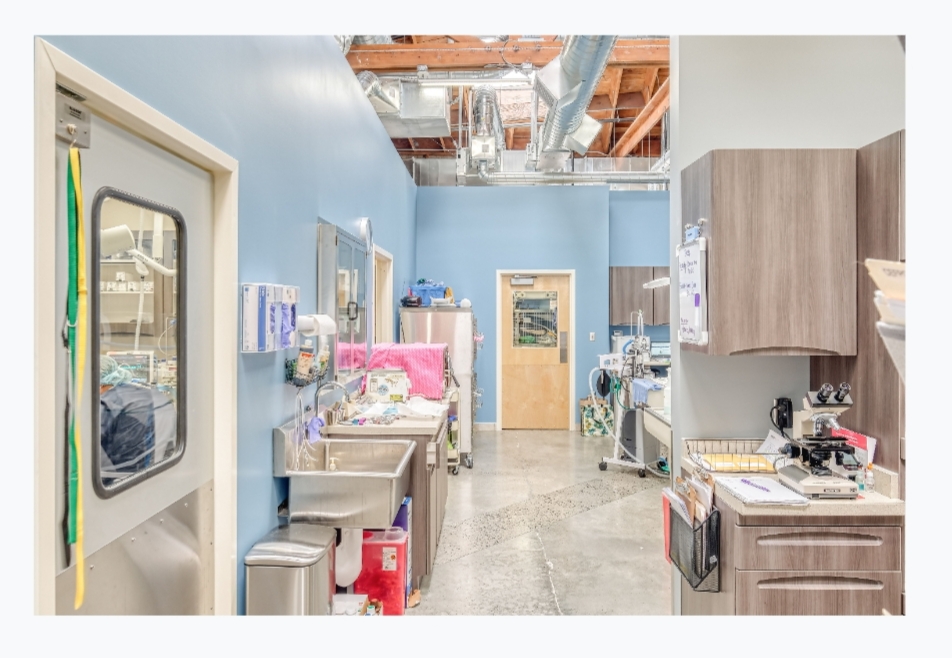 Pet Samaritan Clinic