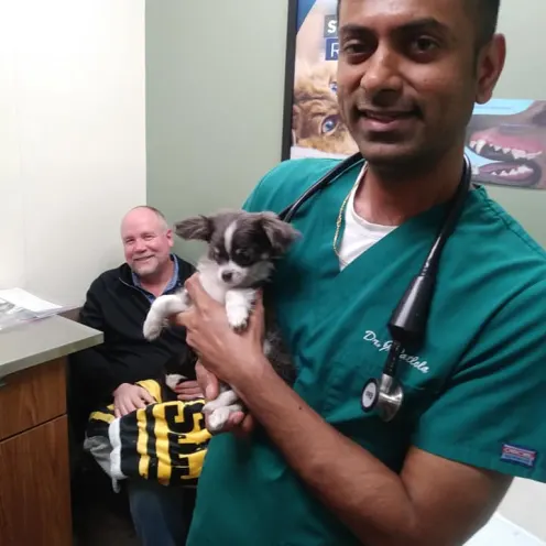 Dr. JJ with puppy at Holiday Park Animal Hospital