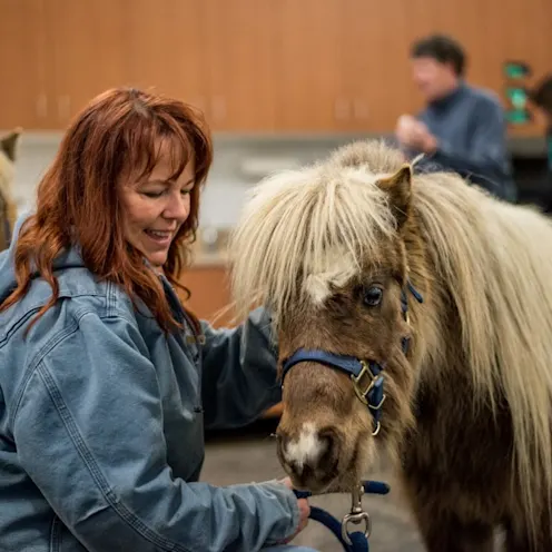 woman with horse woman with horse