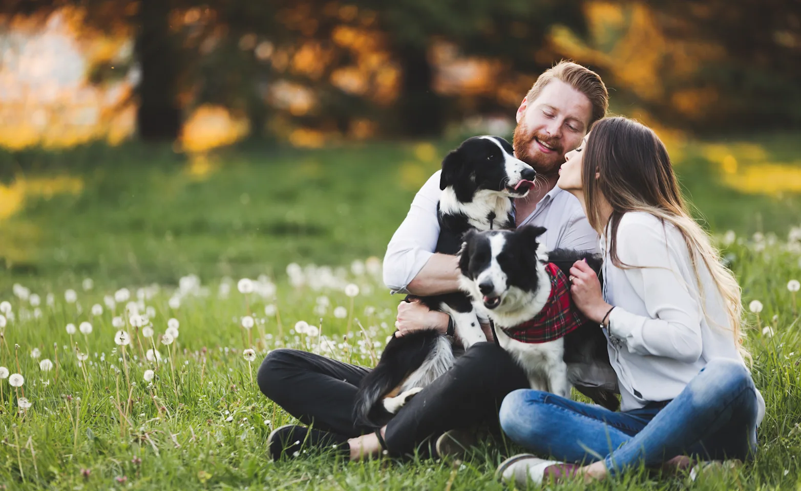A man and a woman with their two dogs at a park A man and a woman with their two dogs at a park