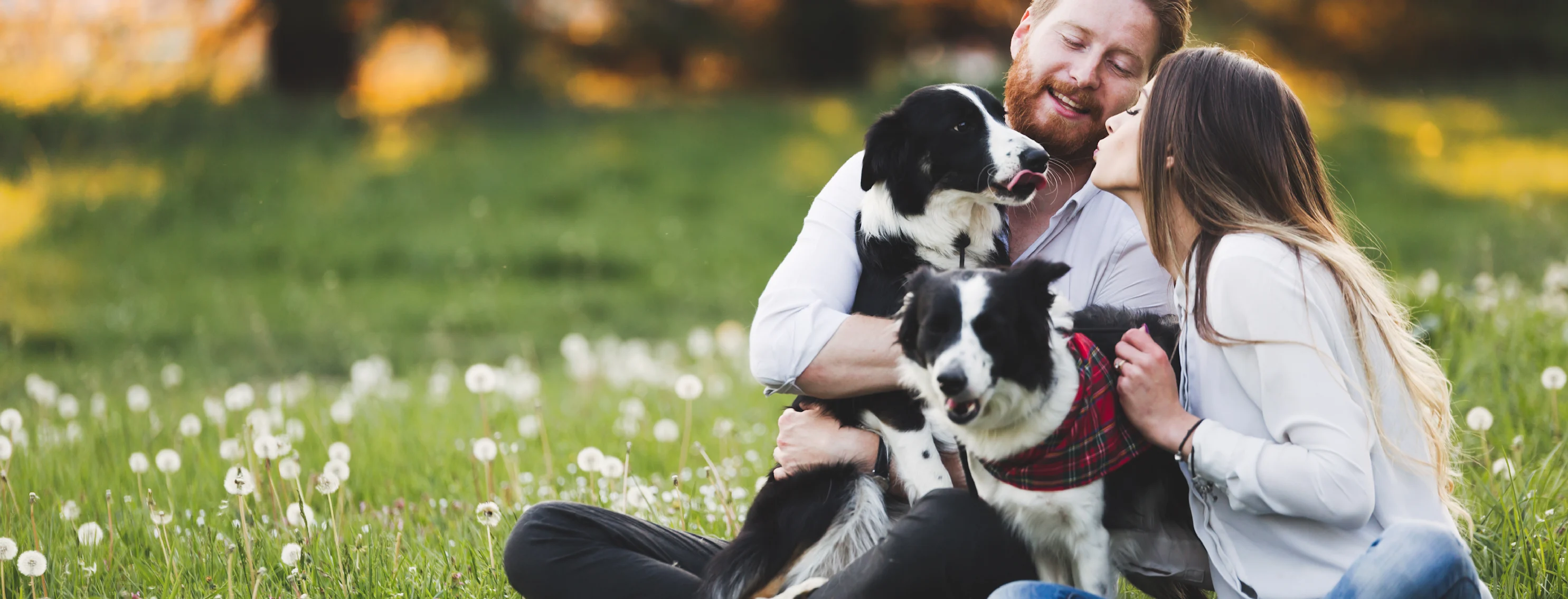 A man and a woman with their two dogs at a park