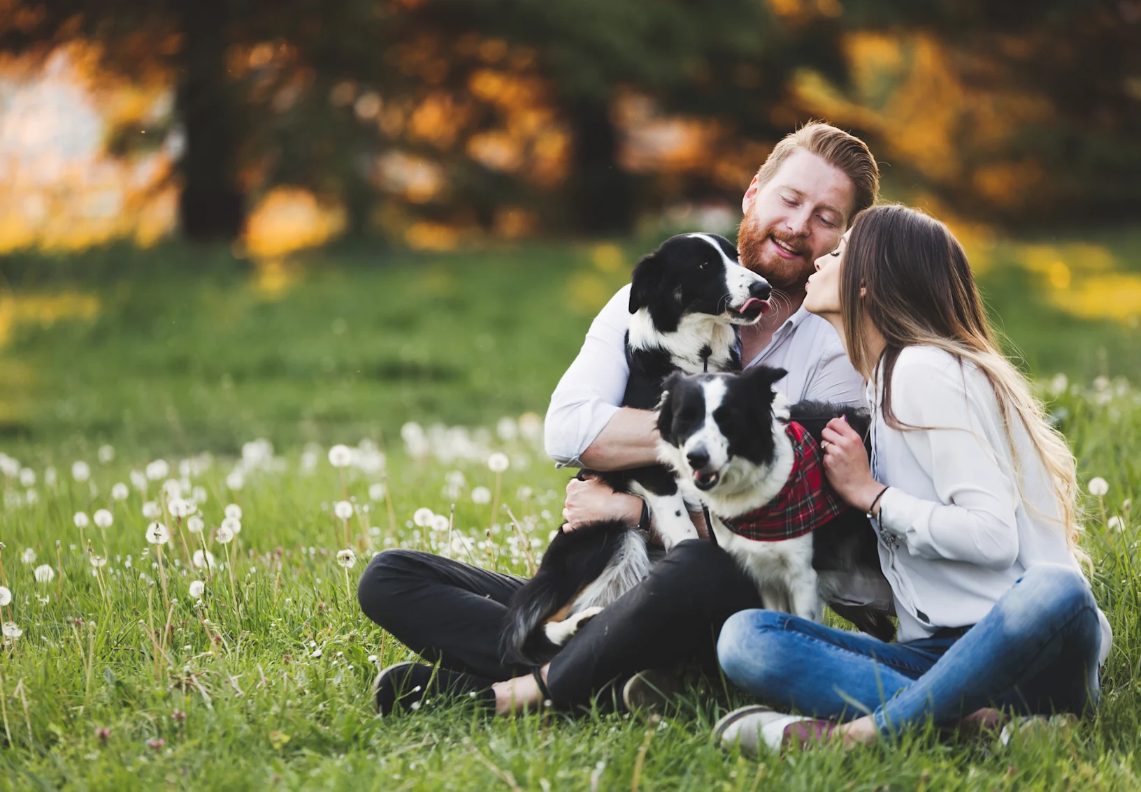 A man and a woman with their two dogs at a park A man and a woman with their two dogs at a park