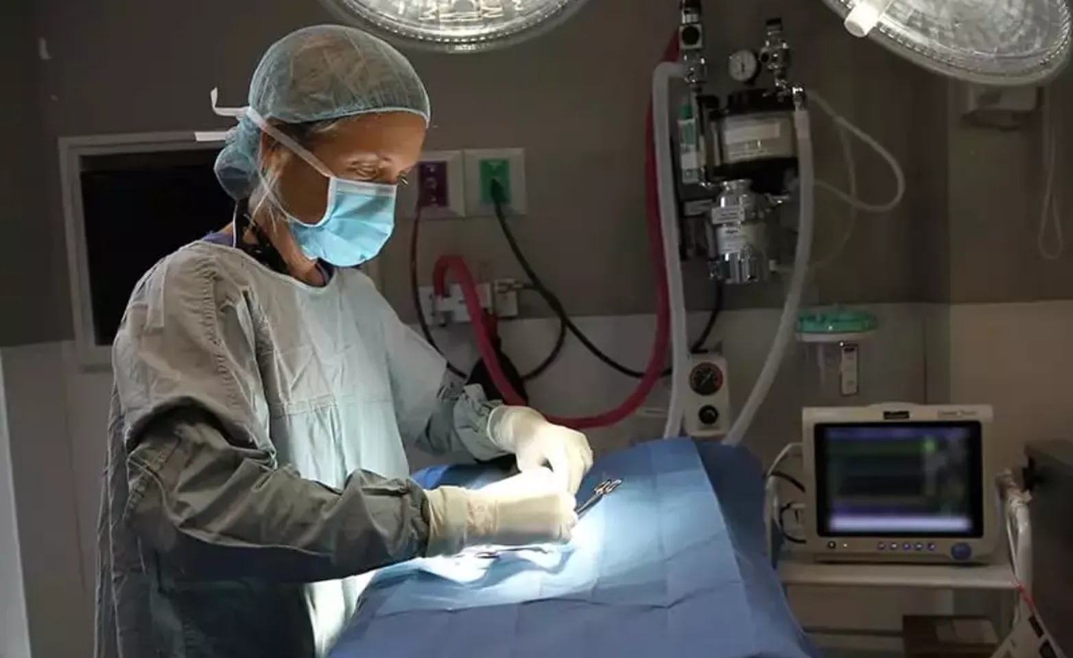 Vet performing surgery on a patient Vet performing surgery on a patient