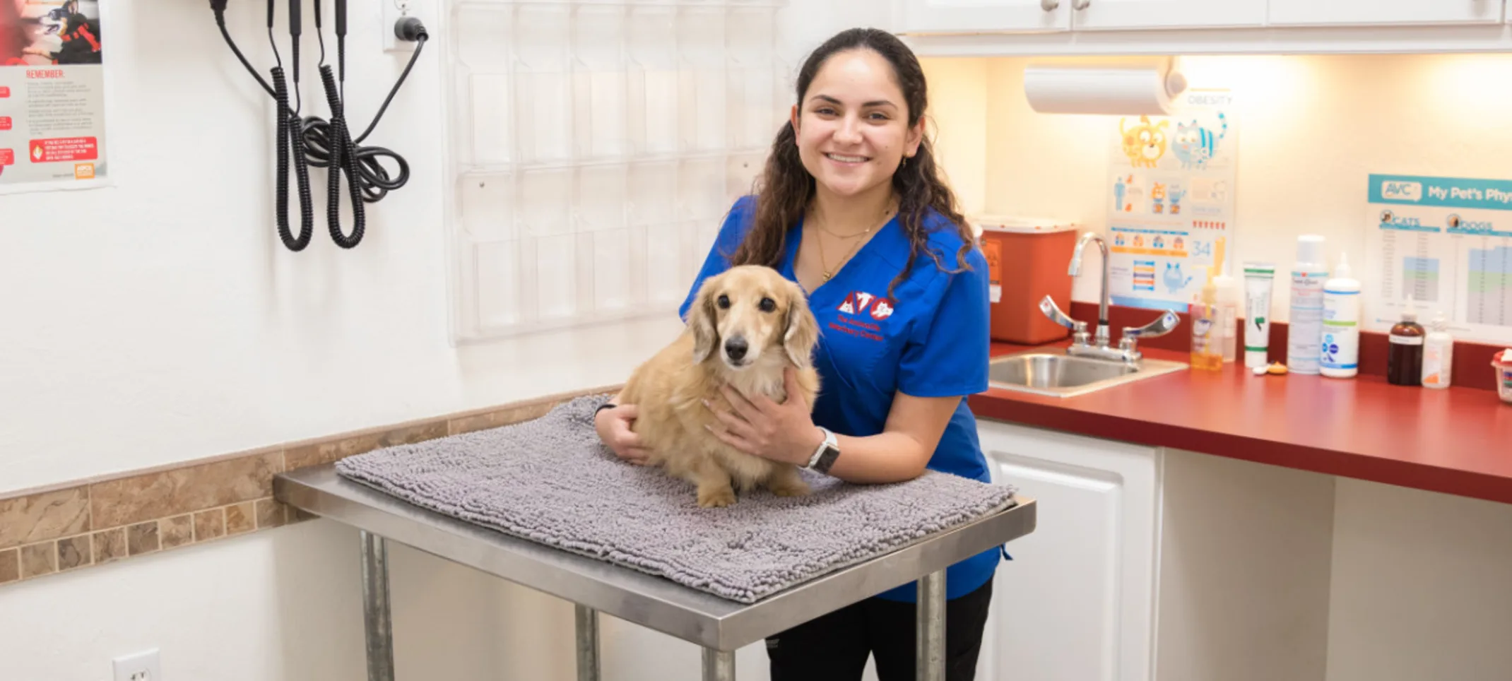 Staff member with a small brown dog at The Animalife Veterinary Center at Mission Hills Staff member with a small brown dog at The Animalife Veterinary Center at Mission Hills