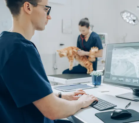 Staff member looking at an x ray Staff member looking at an x ray