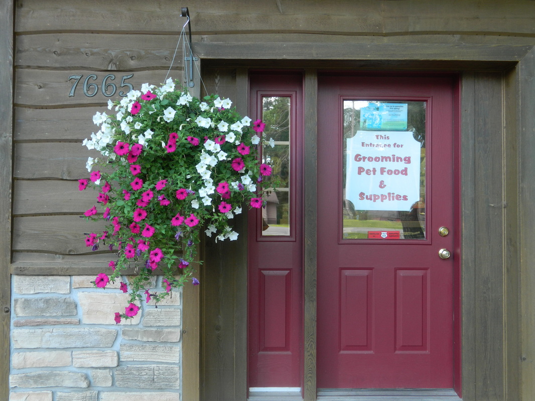 The entrance to our Grooming, Pet Food, and Supplies area at All Creatures Veterinary Clinic