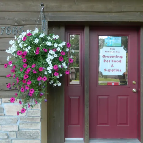 The entrance to our Grooming, Pet Food, and Supplies area at All Creatures Veterinary Clinic