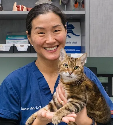 Nancy Neumann with cat at Battery Park Veterinary Hospital Nancy Neumann with cat at Battery Park Veterinary Hospital
