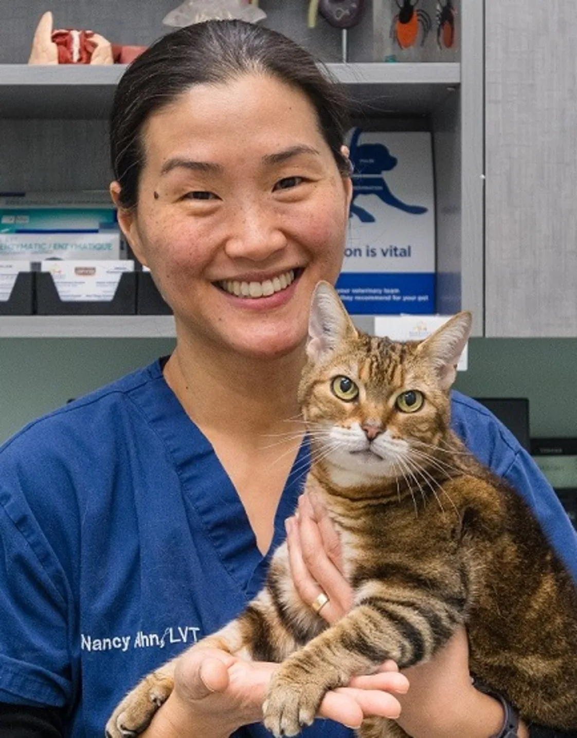 Nancy Neumann with cat at Battery Park Veterinary Hospital Nancy Neumann with cat at Battery Park Veterinary Hospital