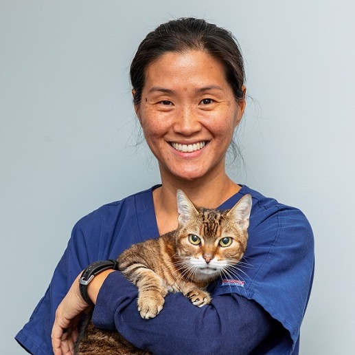 Nancy Neumann with cat at Battery Park Veterinary Hospital