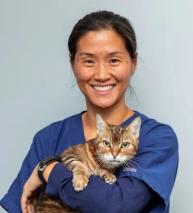 Nancy Neumann with cat at Battery Park Veterinary Hospital Nancy Neumann with cat at Battery Park Veterinary Hospital