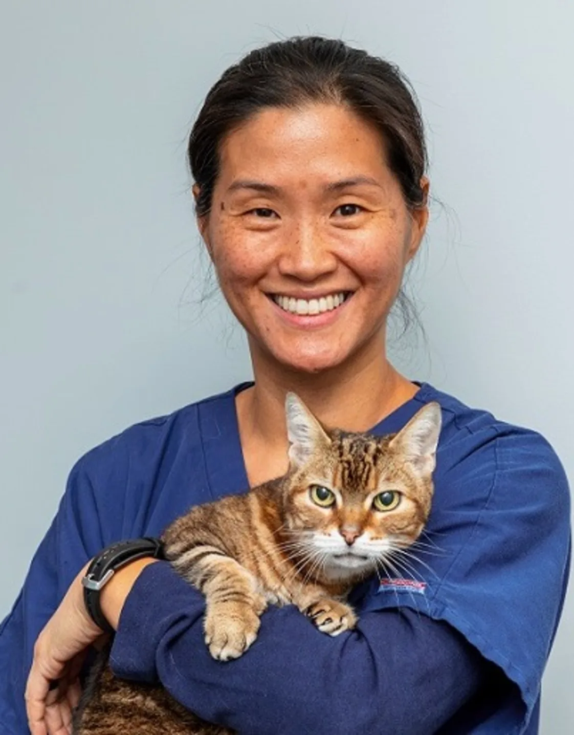 Nancy Neumann with cat at Battery Park Veterinary Hospital Nancy Neumann with cat at Battery Park Veterinary Hospital