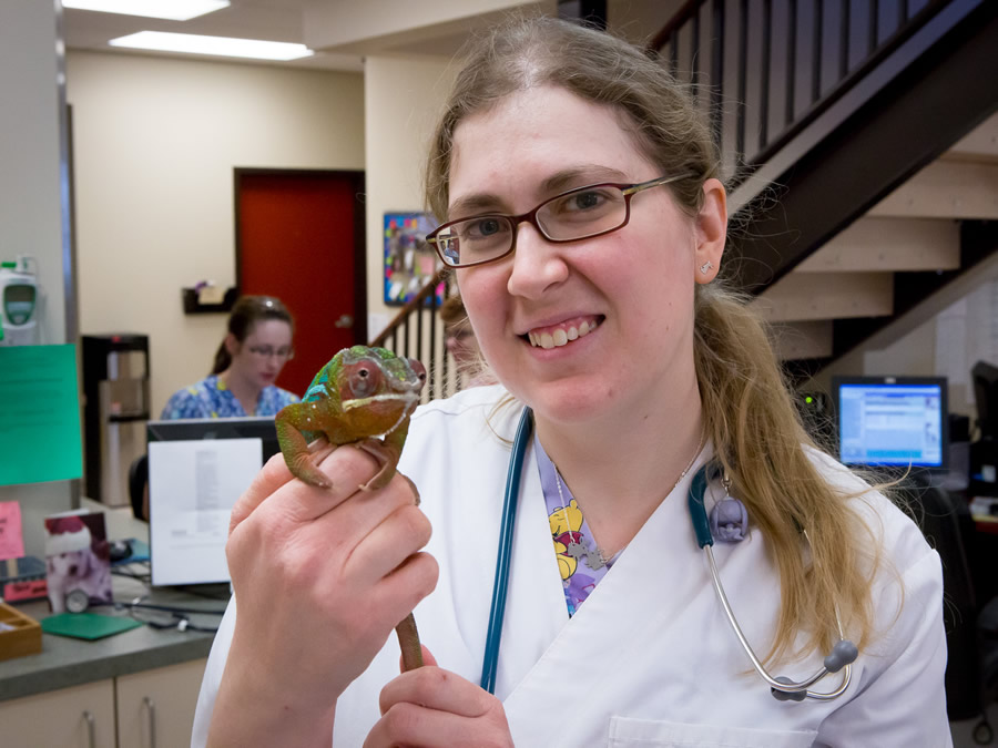 Park Veterinary Centre Patient