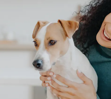 Woman looking at dog holding up Woman looking at dog holding up
