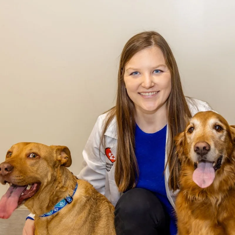 Dr. Jamie Heavey, Veterinarian at Animal Care Center of Downers Grove Dr. Jamie Heavey, Veterinarian at Animal Care Center of Downers Grove
