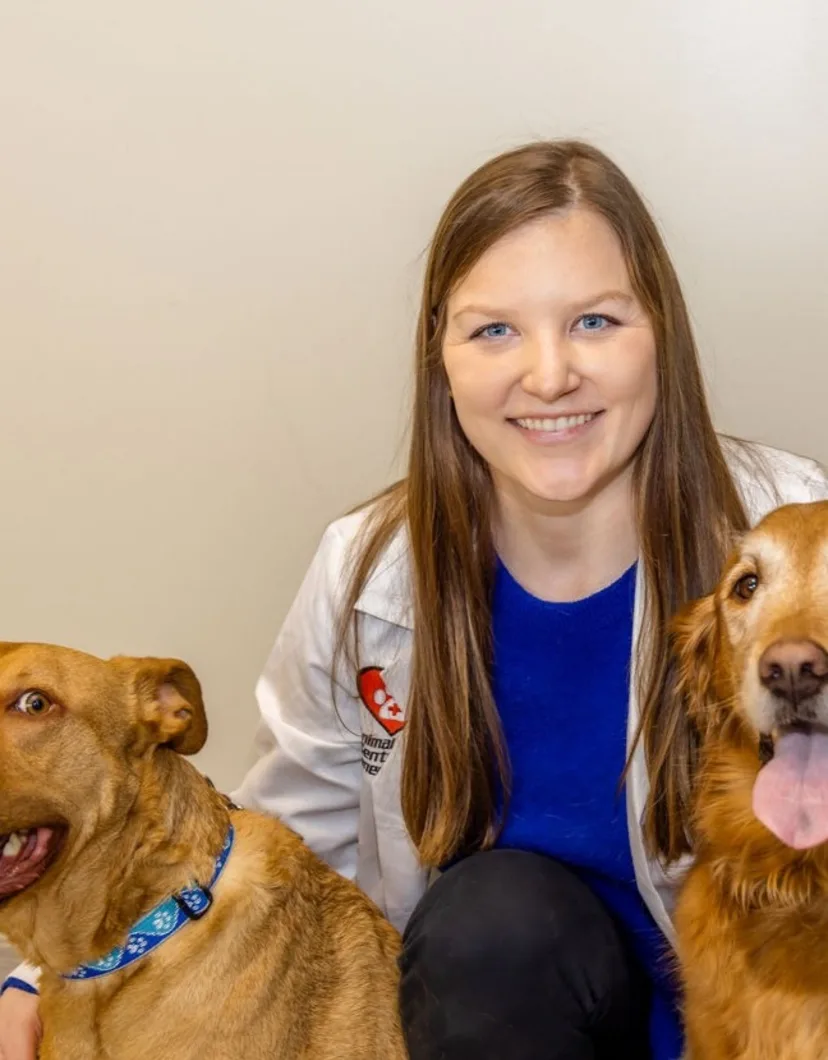 Dr. Jamie Heavey, Veterinarian at Animal Care Center of Downers Grove