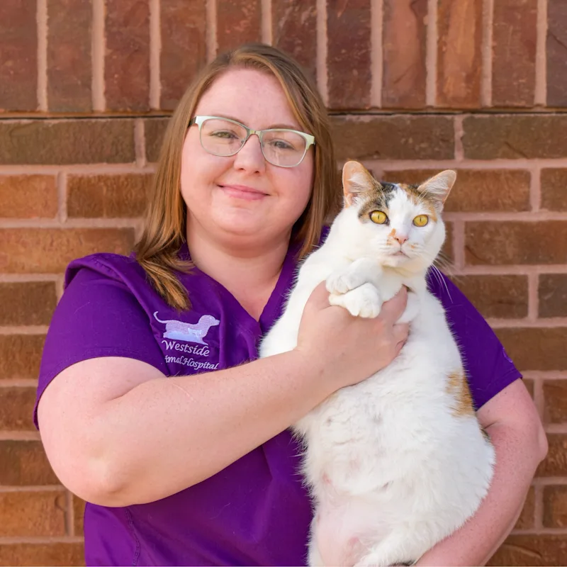 Dawn of Westside Animal Hospital Dawn of Westside Animal Hospital