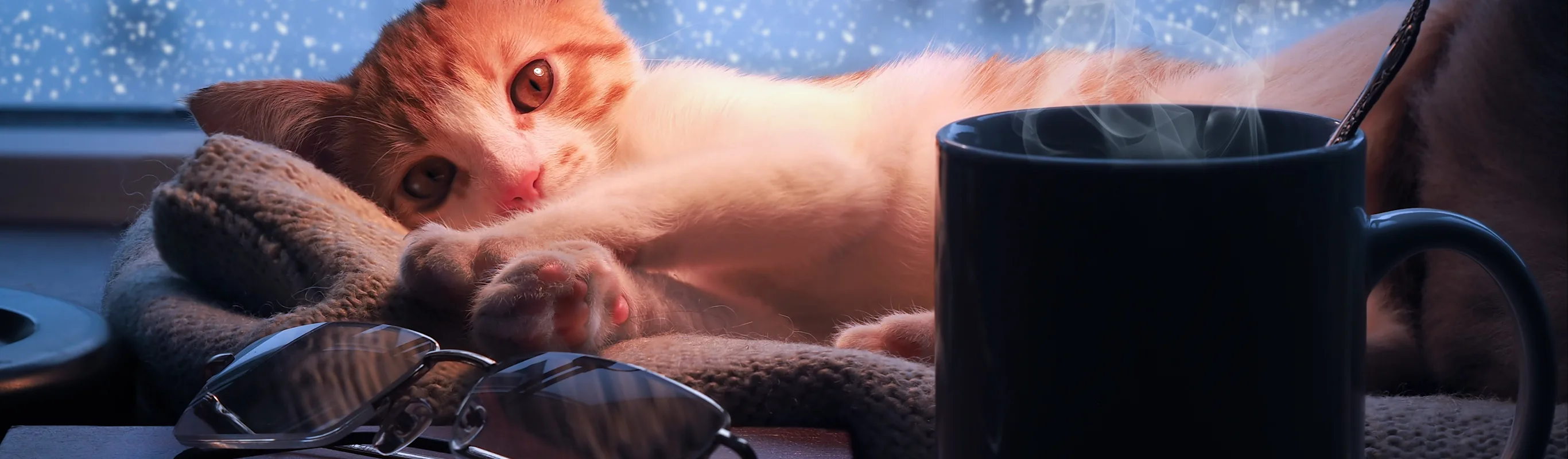 Cat laying on desk besides a pair of glasses and mug Cat laying on desk besides a pair of glasses and mug