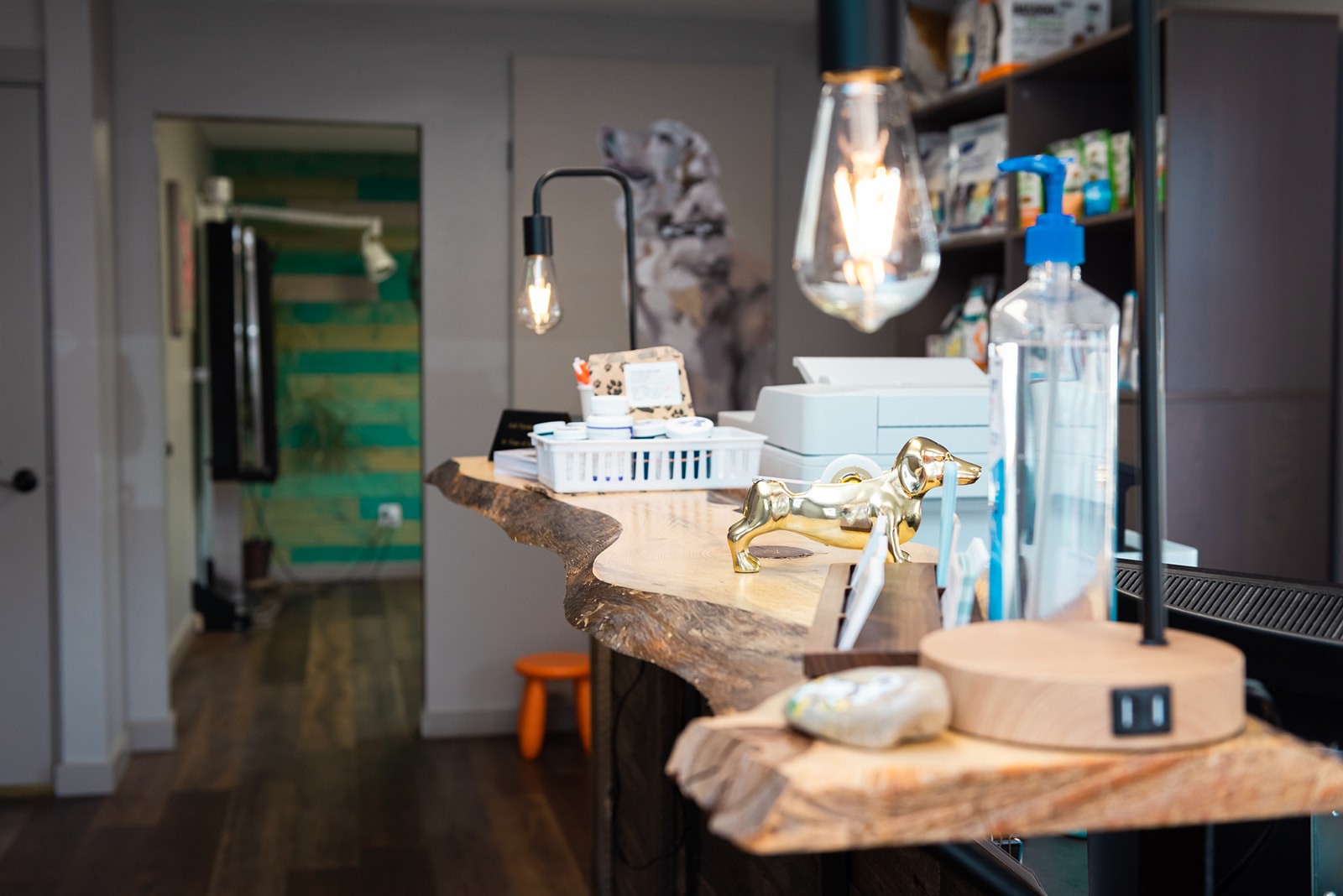 Front desk counter close up at The Valley Veterinary Hospital