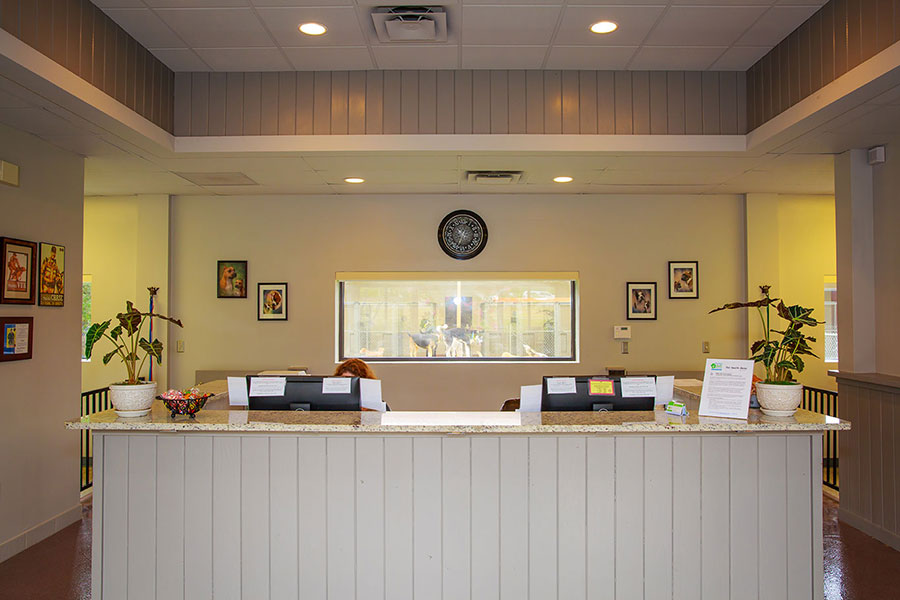 Happy Tails Pet Resort Reception