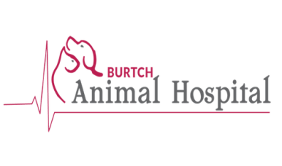 Burtch Animal Hospital-HeaderLogo