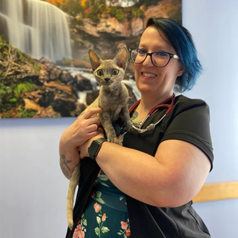 A photo of Dr. Tina Hall holding a Devon Rex A photo of Dr. Tina Hall holding a Devon Rex