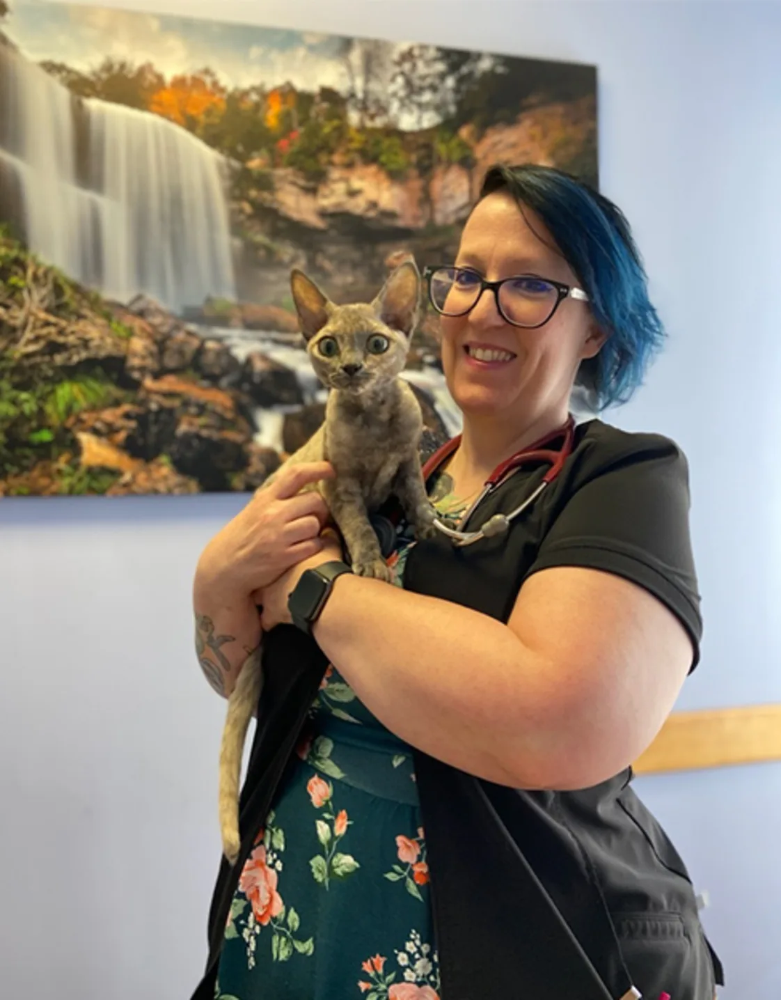 A photo of Dr. Tina Hall holding a Devon Rex A photo of Dr. Tina Hall holding a Devon Rex