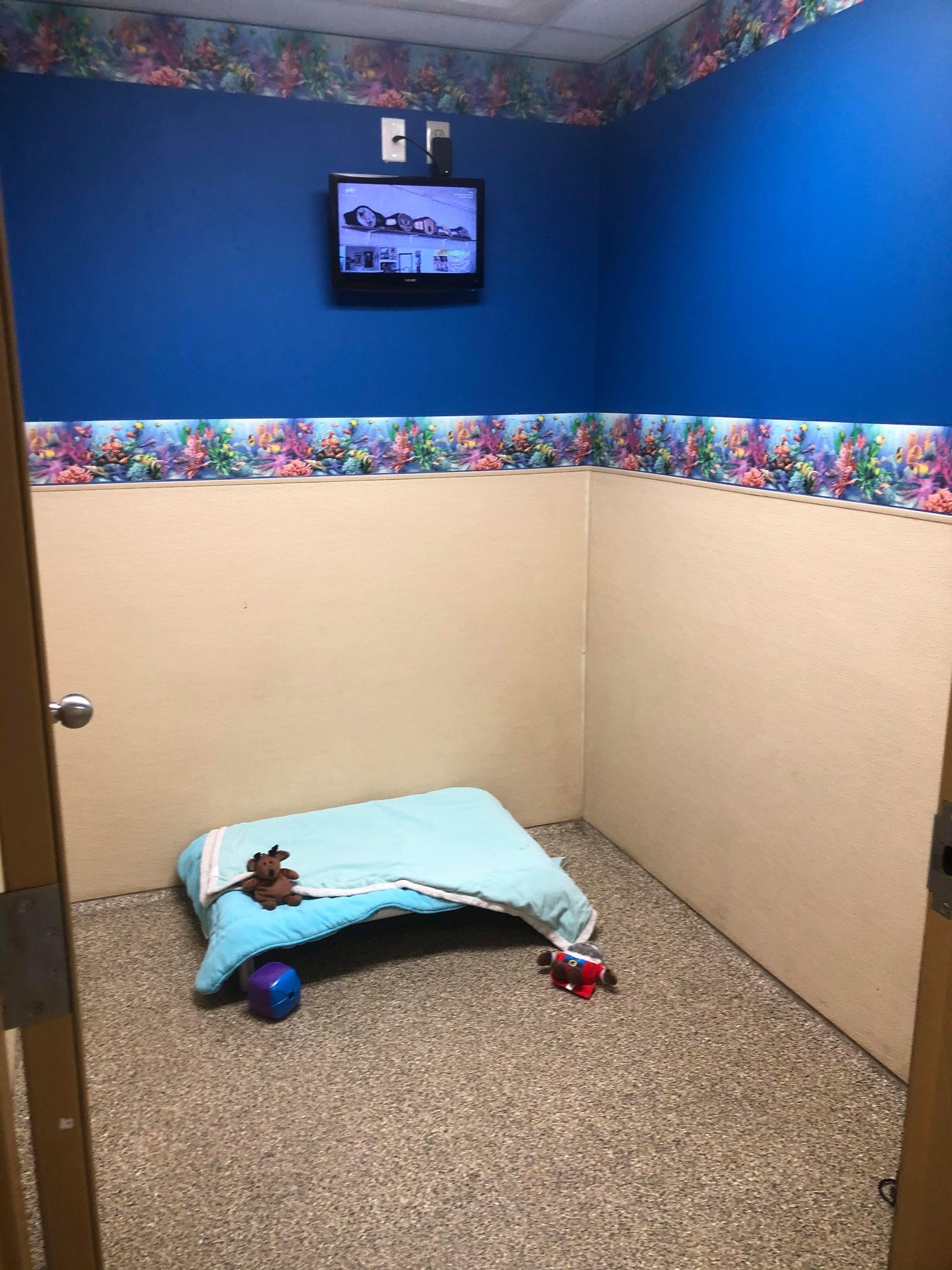 Vacation on the Reef 5 from doorway