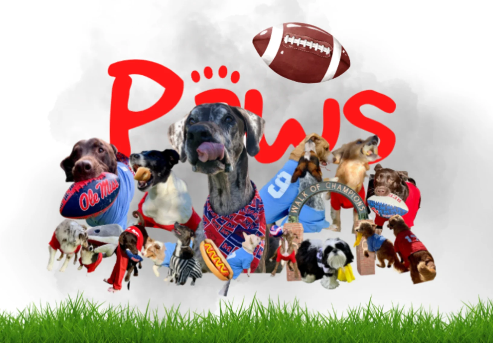 2025 Rebel Paws Daycare 2025 Rebel Paws Daycare