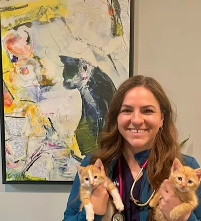 New Staff Member New Staff Member