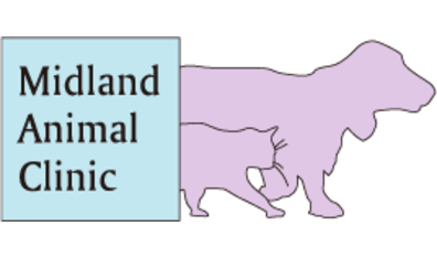 Midland Animal Clinic - Poway, CA Logo