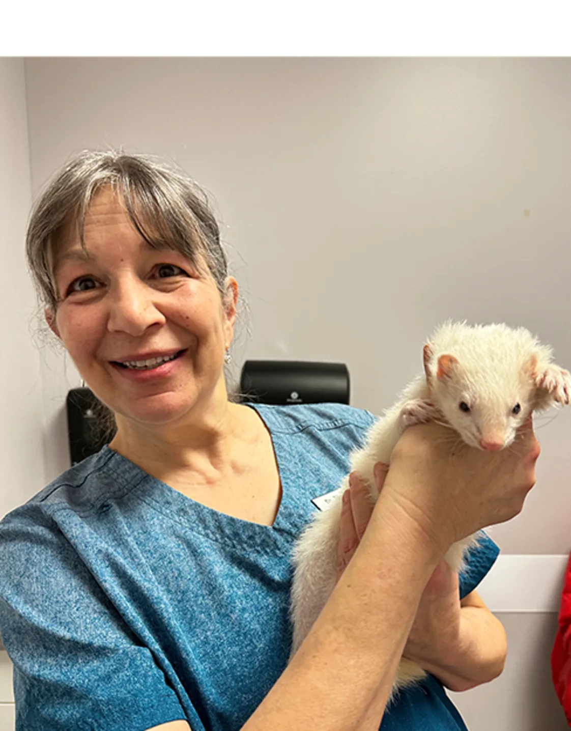 Dr. Ellen Scholz Dr. Ellen Scholz