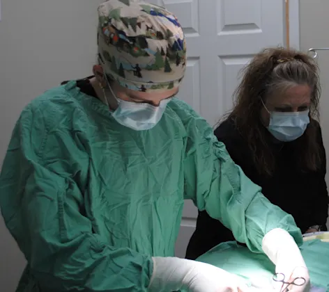 Surgical Procedure Surgical Procedure