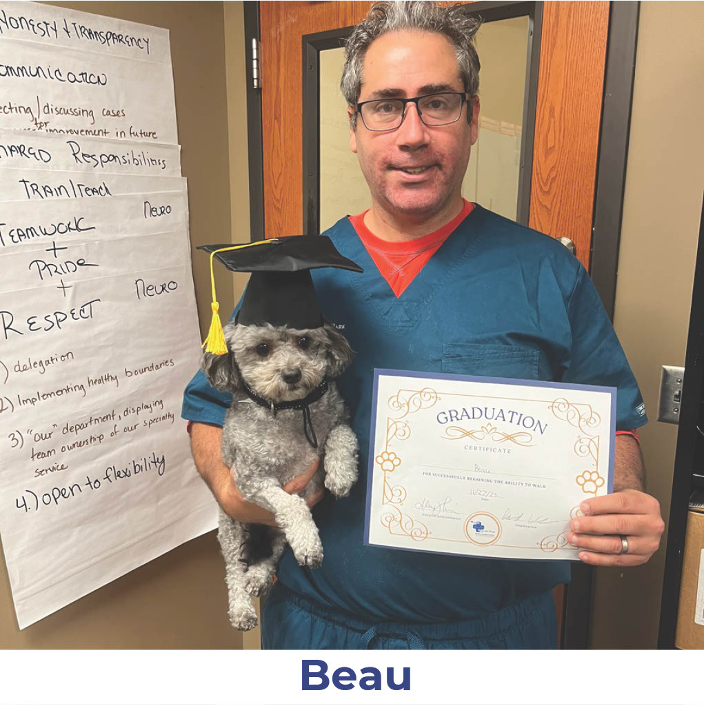 Beau the dog with Neurology Graduate Hall of Fame certificate