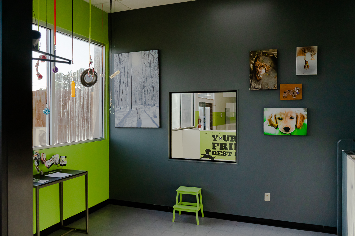 Lobby Interior at Puppy Playground