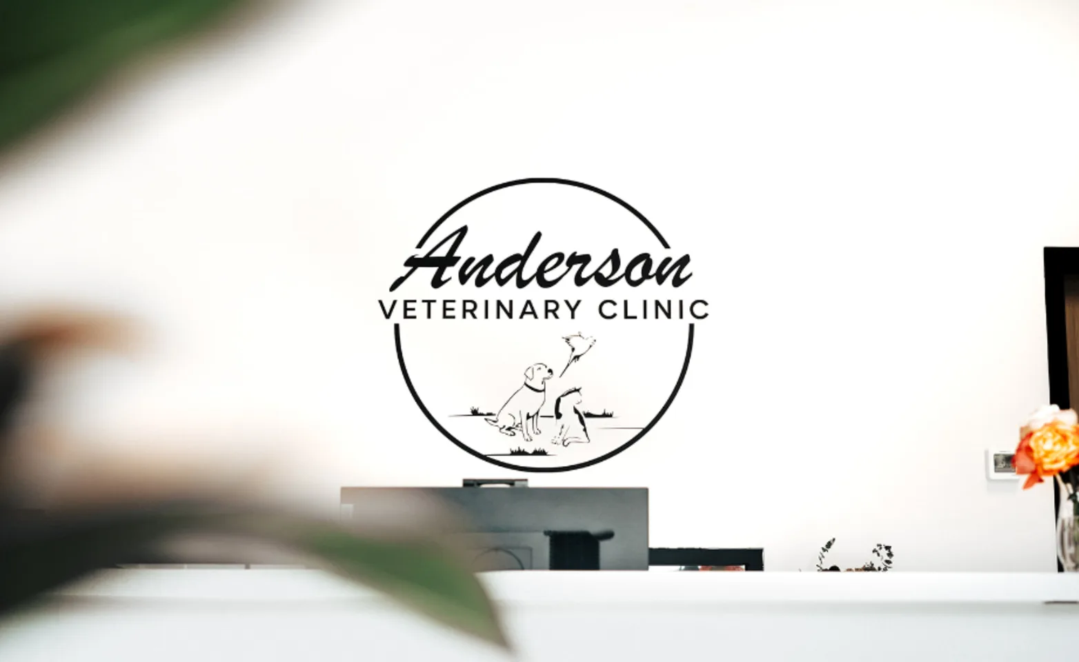Anderson Veterinary Clinic front entrance Anderson Veterinary Clinic front entrance