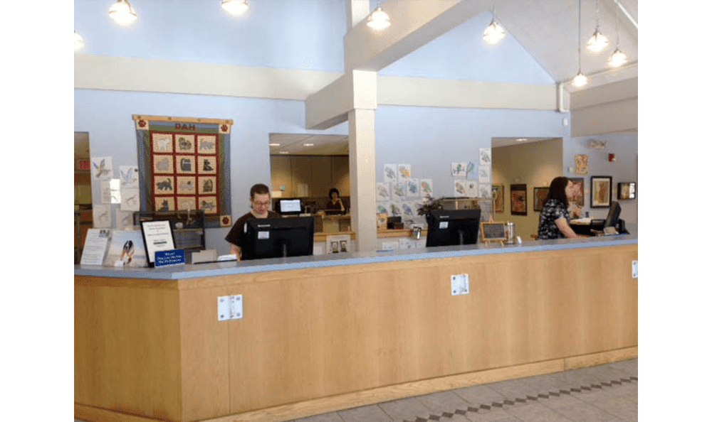 Danvers Animal Hospital