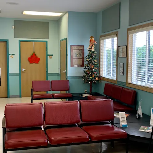 Lobby Red Chairs at Camboro Veterinary Hospital Lobby Red Chairs at Camboro Veterinary Hospital