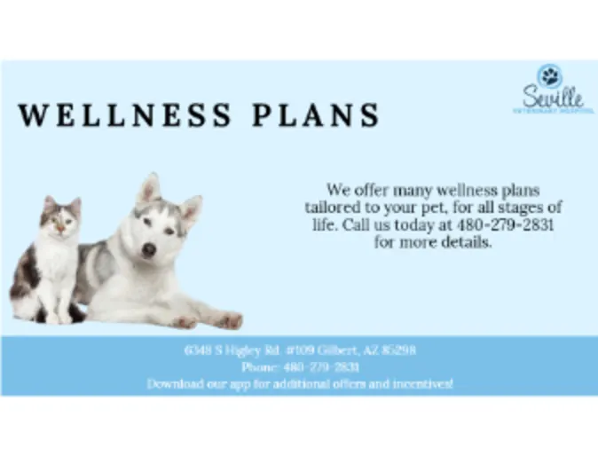 Wellness Plans Wellness Plans