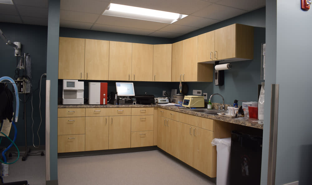 Larkin Veterinary Center Lab