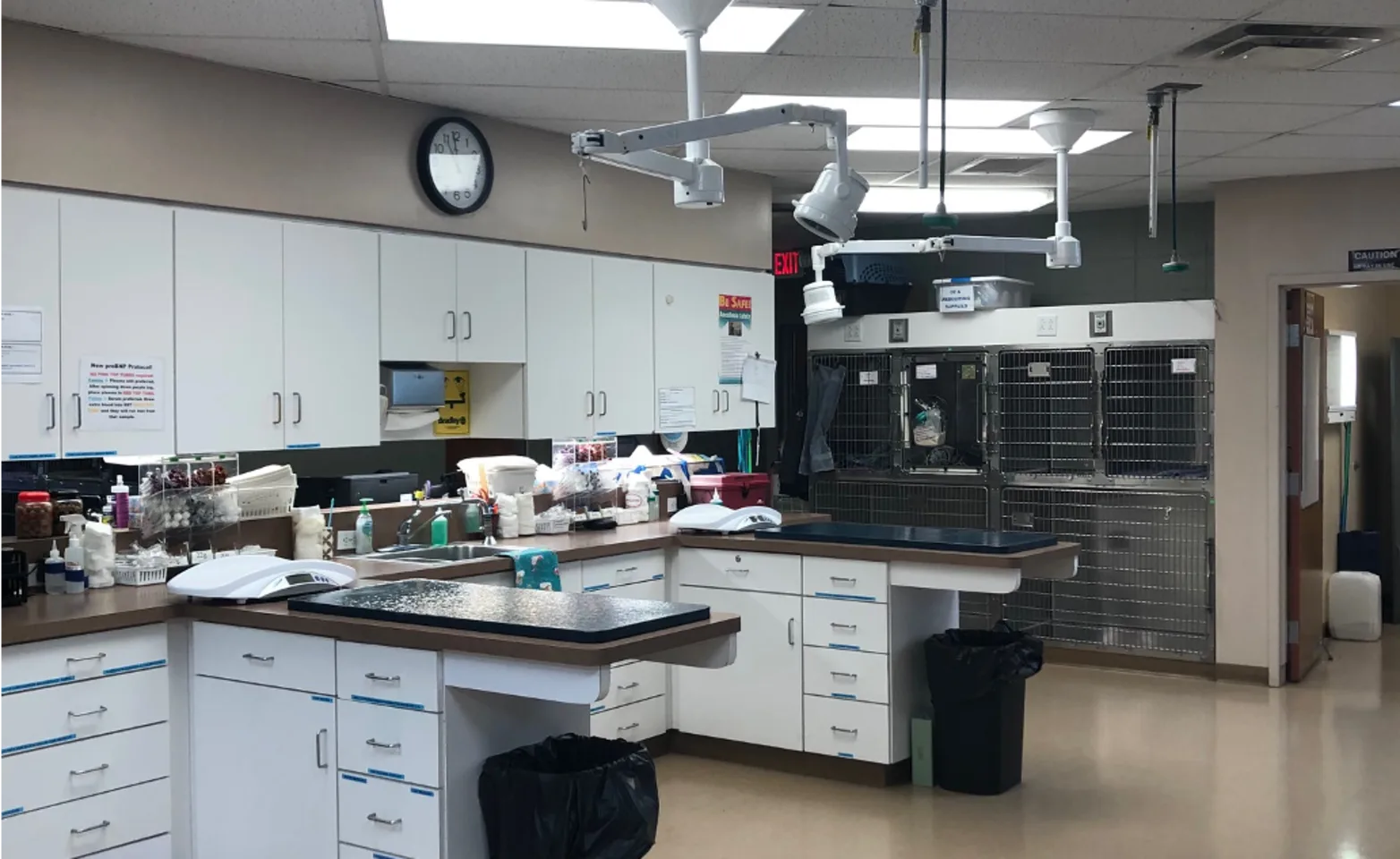 Niles Veterinary Clinic Exam Room Area Niles Veterinary Clinic Exam Room Area