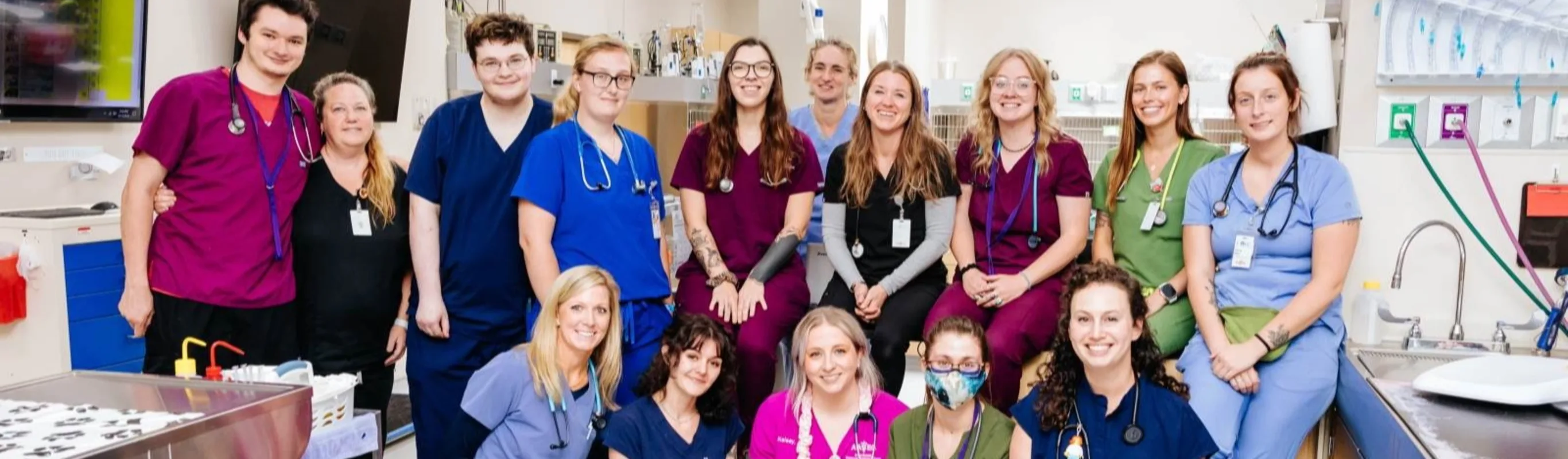 AAVEC Team AAVEC Team