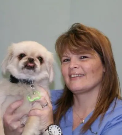 Pencil Puppy Pencil Puppy