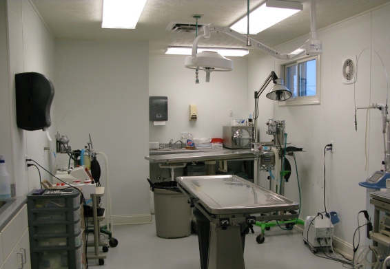 This is our surgery suite equipped with both a “cold” laser and surgical laser.