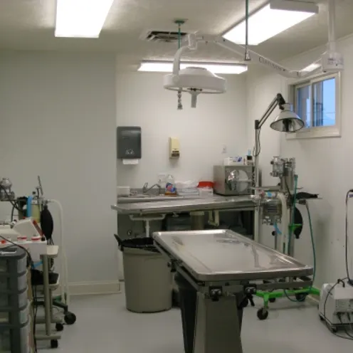 This is our surgery suite equipped with both a “cold” laser and surgical laser.