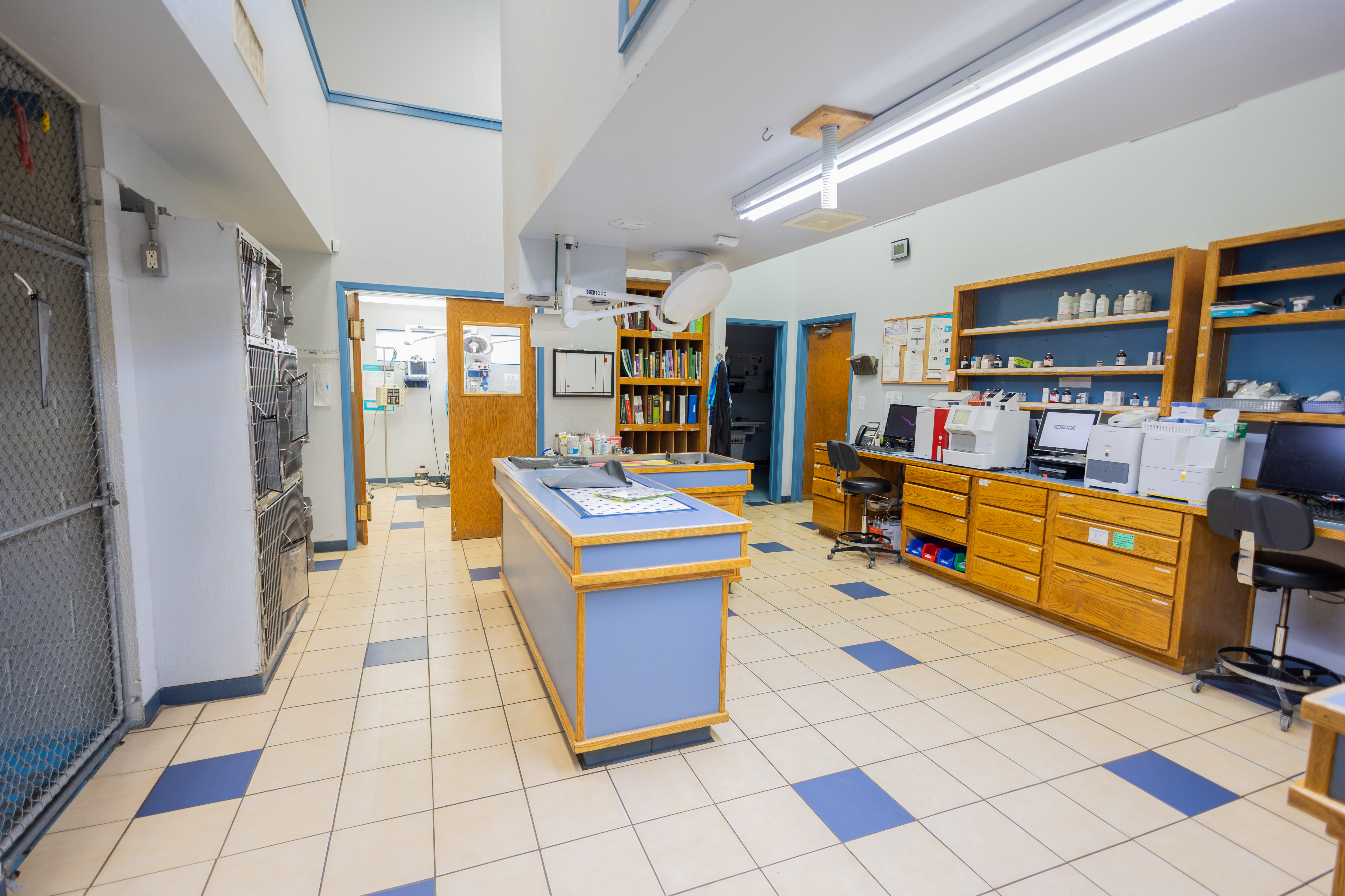 Inside Ironwood Veterinary Clinic