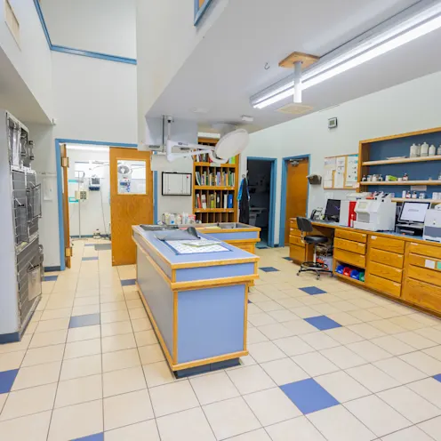 Inside Ironwood Veterinary Clinic Inside Ironwood Veterinary Clinic